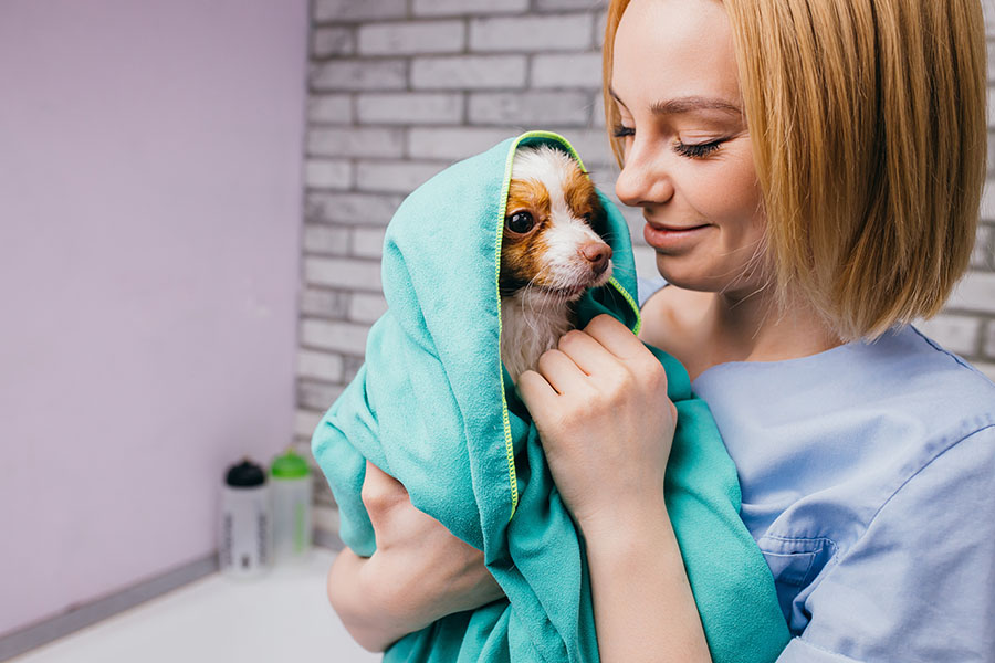 Client Center - Smiling Dog Groomer Holding Wet Puppy Wrapped in a Towel